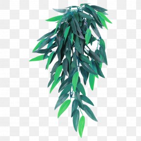 Plant - Houseplant Arecaceae Hanging Basket Flowerpot Basket Plant PNG