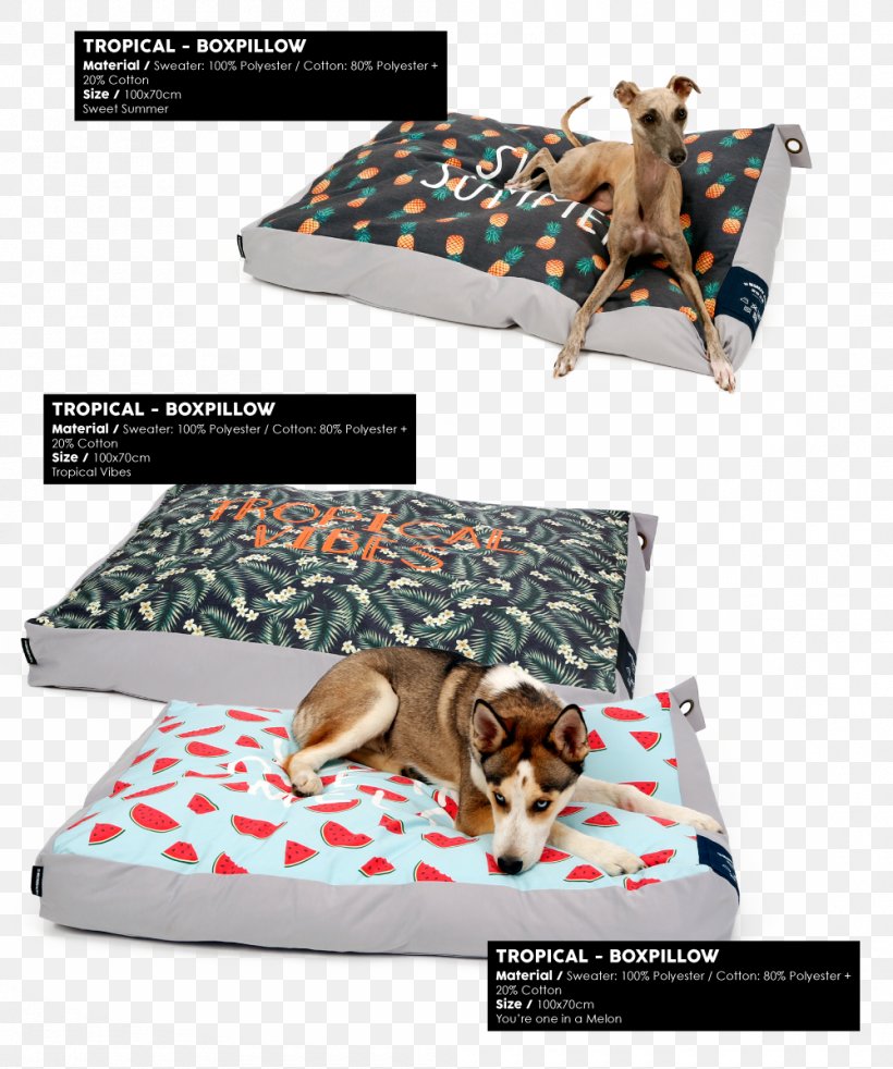 Mattress Bed Frame Let Them Float Cushion, PNG, 1000x1198px, Mattress, Bag, Bed, Bed Frame, Bed Sheet Download Free