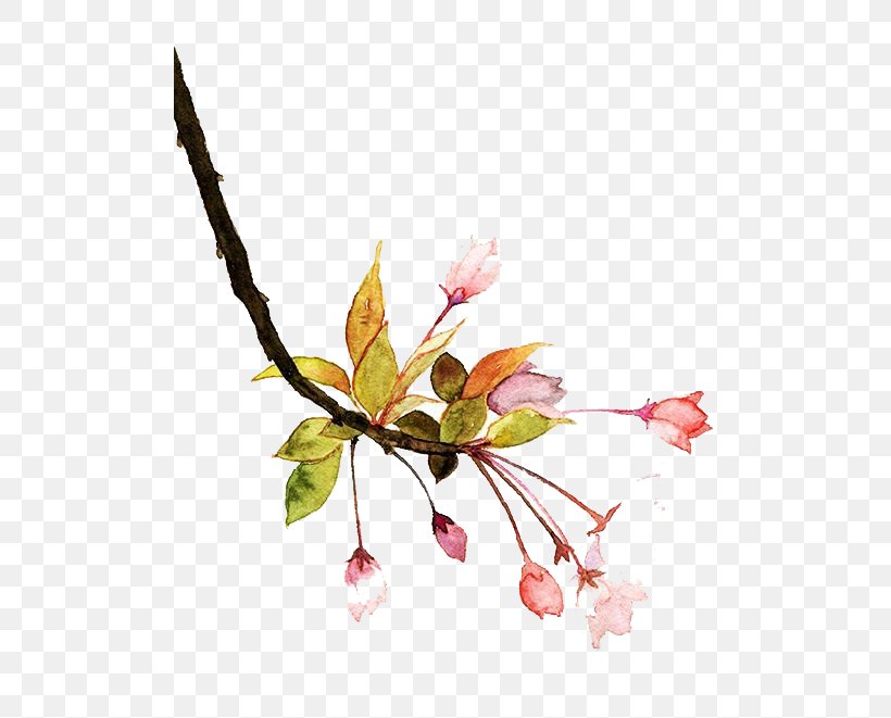Watercolor Painting Bilibili Le.com Baidu Tieba, PNG, 500x661px, Sina Weibo, Blossom, Book, Branch, Floral Design Download Free
