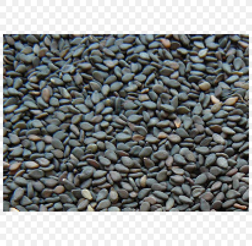Sesame Seed Tahini Husk Peel, PNG, 800x800px, Sesame, Calcium, Cereal, Commodity, Gravel Download Free