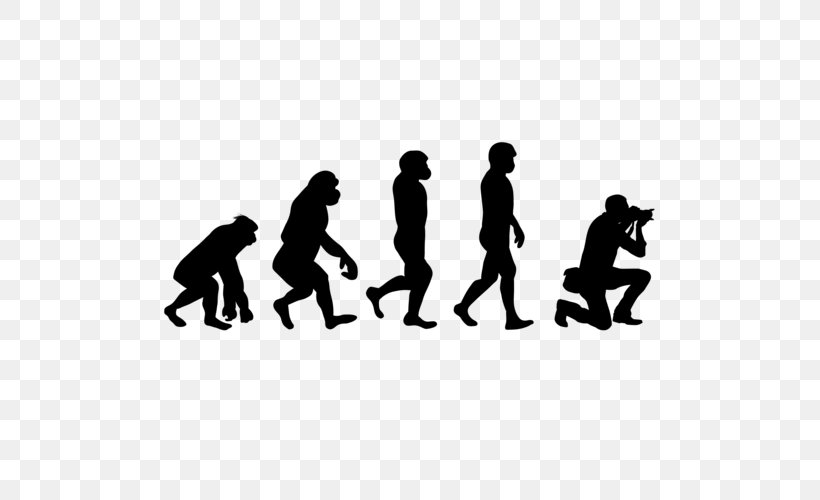 T-shirt Human Evolution Zazzle Clothing, PNG, 500x500px, Tshirt, Basketball, Black, Black And White, Brand Download Free