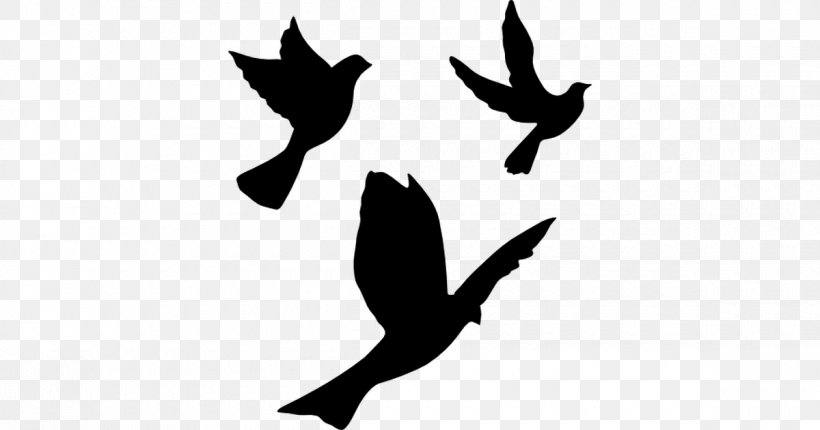 Pigeons And Doves English Carrier Pigeon Homing Pigeon Vector Graphics Bird, PNG, 1200x630px, Pigeons And Doves, Beak, Bird, Blackandwhite, Columbiformes Download Free