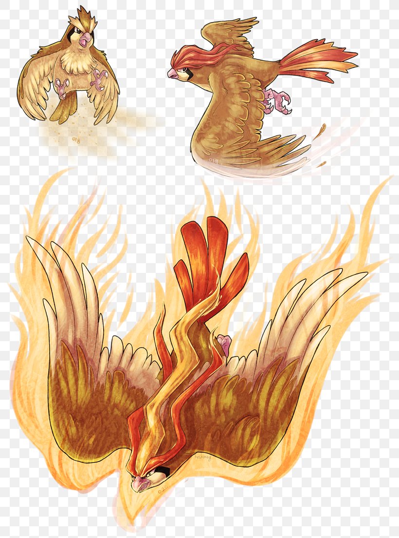 Rooster Pokémon GO Pidgeotto Nintendo, PNG, 800x1104px, Rooster, Bird, Chicken, Fictional Character, Galliformes Download Free