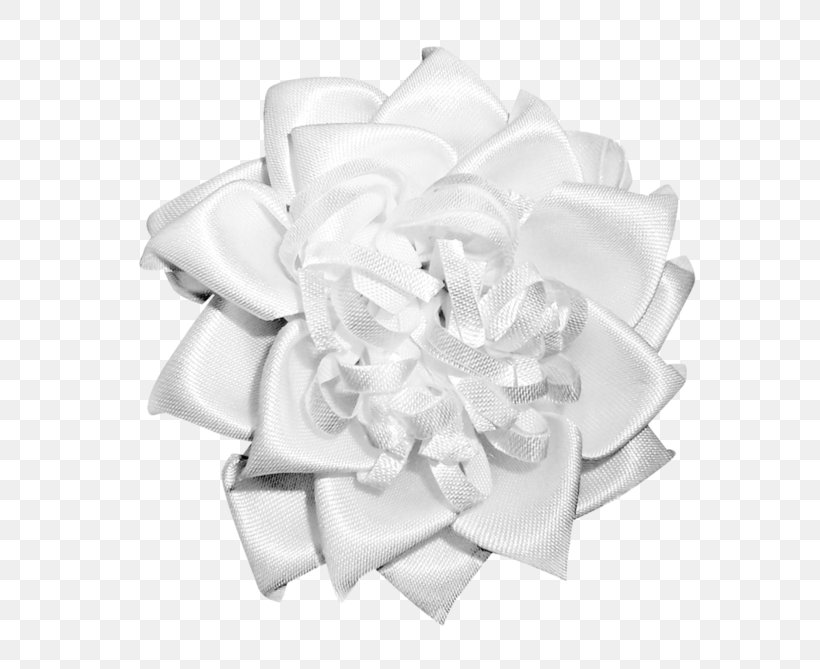 Textile Ribbon Polyvore Clothing Accessories, PNG, 699x669px, Textile, Black And White, Cameo Appearance, Clothing Accessories, Cut Flowers Download Free