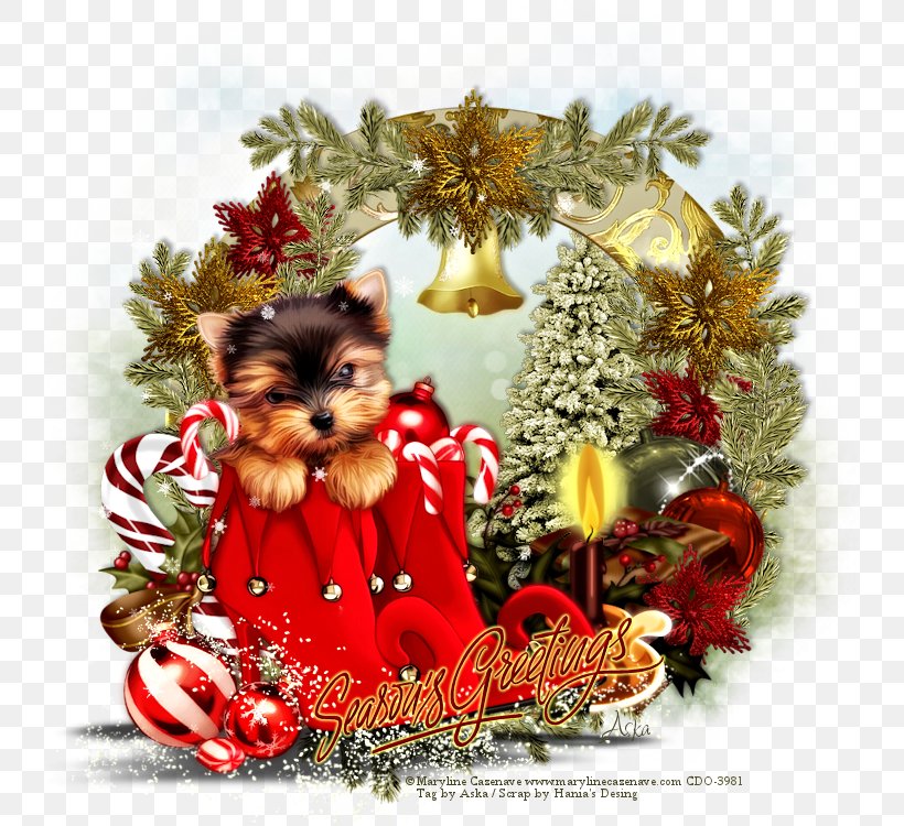 Yorkshire Terrier LiveInternet Christmas Ornament Puppy, PNG, 750x750px, Yorkshire Terrier, Breed, Carnivoran, Christmas, Christmas Decoration Download Free
