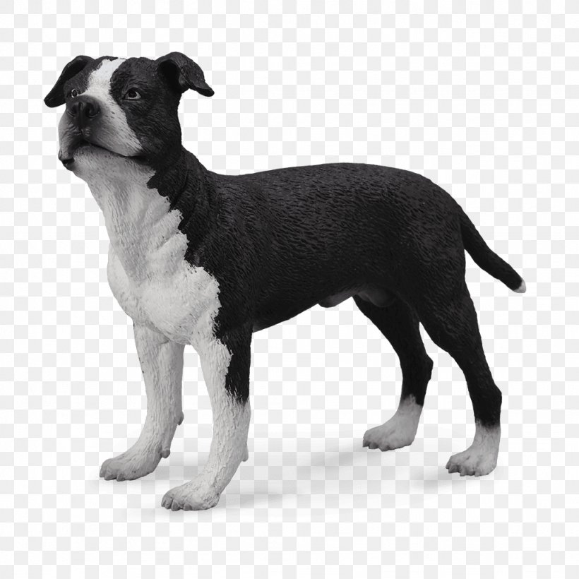 American Staffordshire Terrier Staffordshire Bull Terrier American Pit Bull Terrier, PNG, 1024x1024px, American Staffordshire Terrier, Airedale Terrier, American Pit Bull Terrier, Boston Terrier, Carnivoran Download Free
