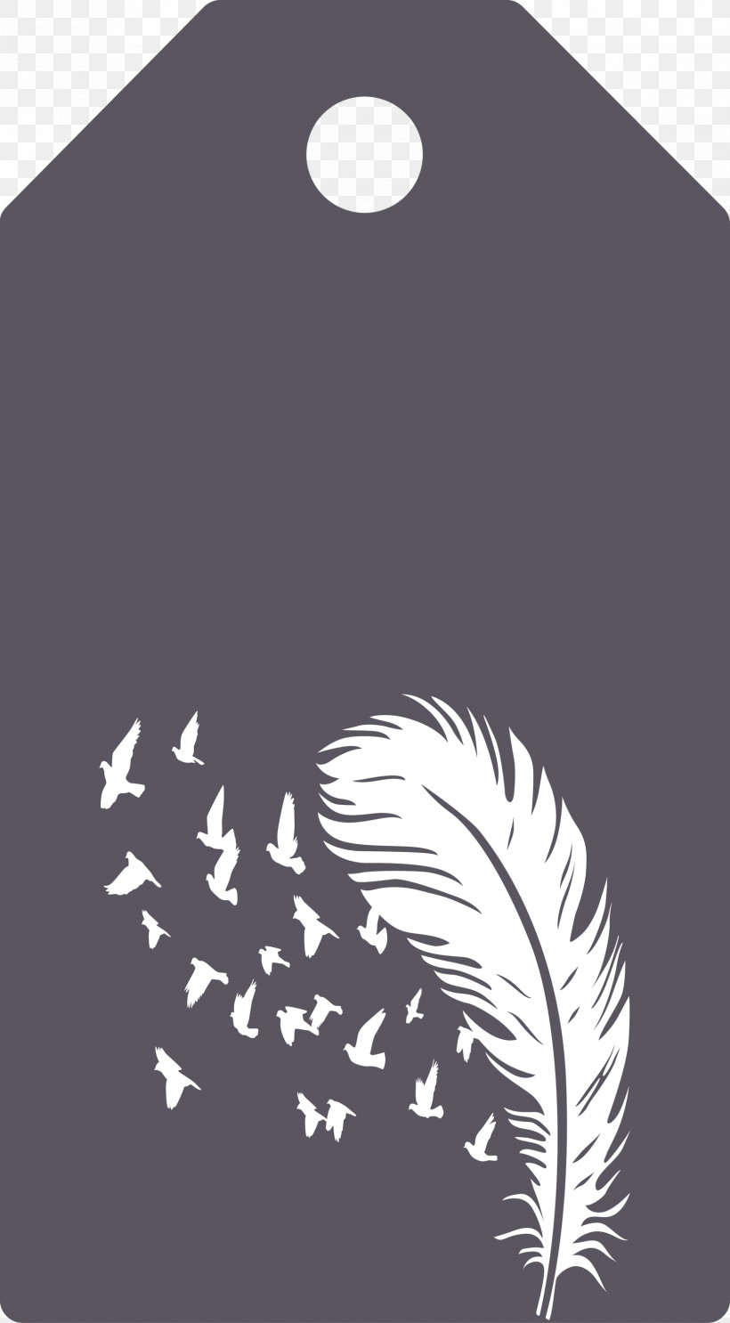 Feather Birds Tag, PNG, 1655x3000px, Feather Birds Tag, Black M, Feather, Meter Download Free