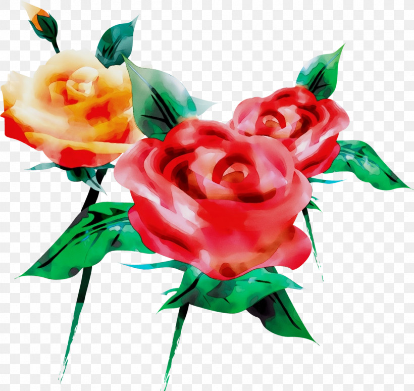 Garden Roses, PNG, 1112x1050px, Three Flowers, Artificial Flower, Bouquet, Cut Flowers, Flower Download Free