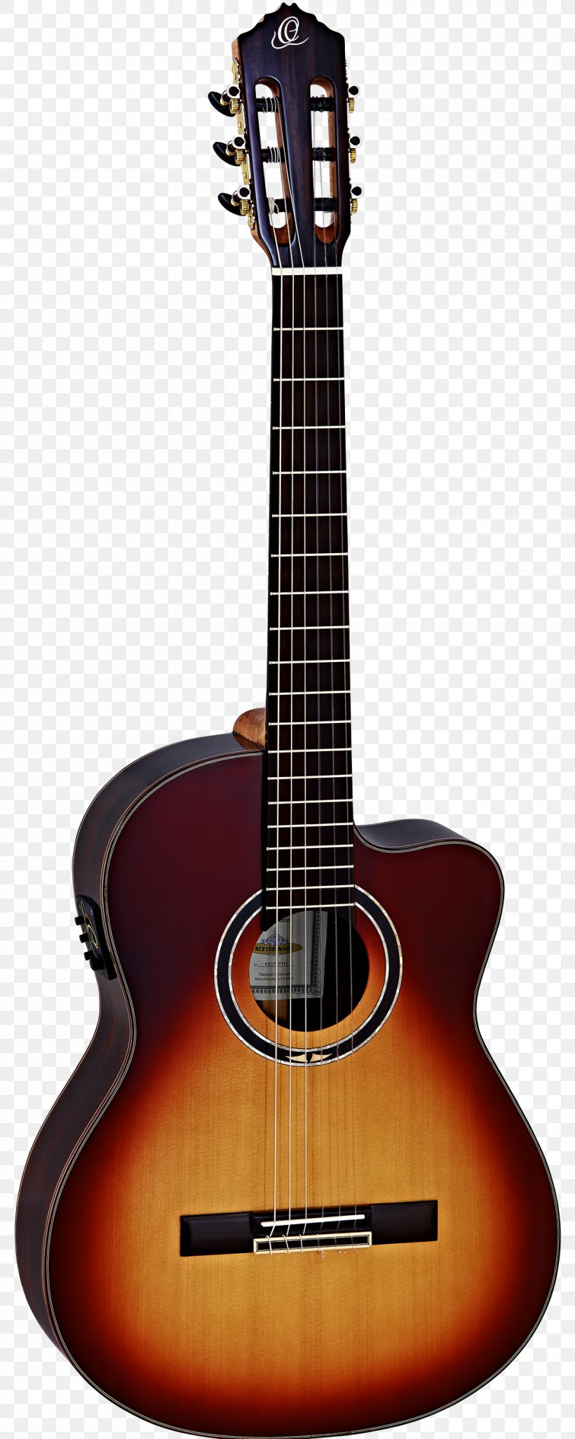 Greg Bennett Guitars Musical Instruments Acoustic Guitar Ukulele, PNG, 1000x2500px, Watercolor, Cartoon, Flower, Frame, Heart Download Free