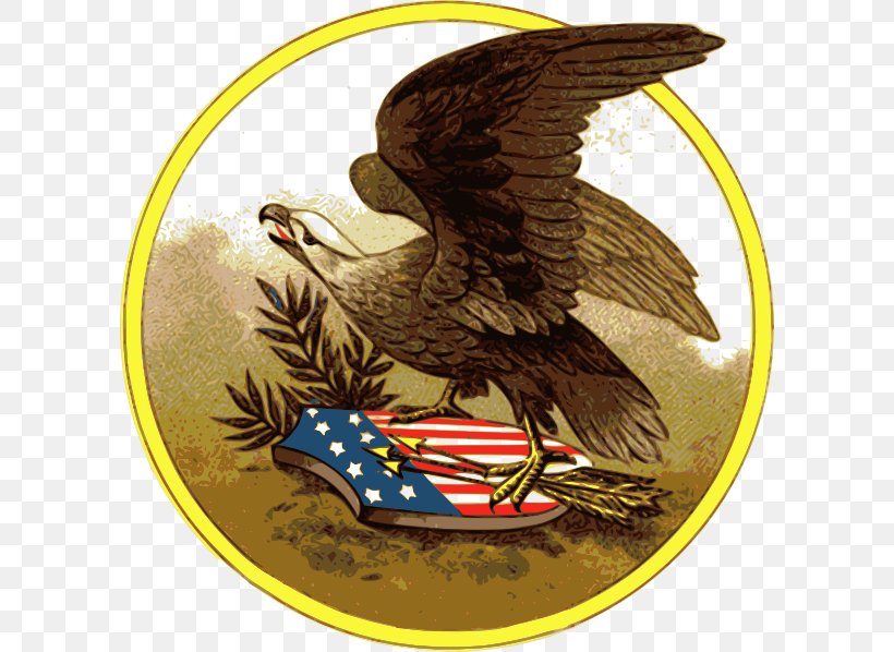 United States Bald Eagle Postcard Clip Art, PNG, 600x598px, United States, Accipitriformes, Bald Eagle, Beak, Bird Download Free