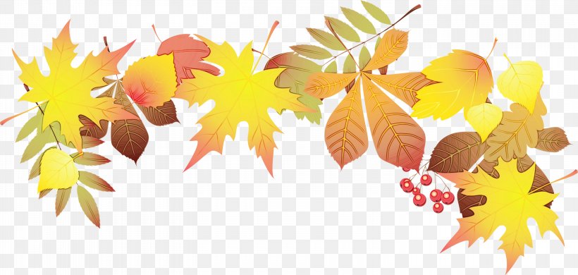 Autumn Tree Branch, PNG, 3000x1430px, Watercolor, Autumn, Autumn Leaf Color, Black Maple, Branch Download Free