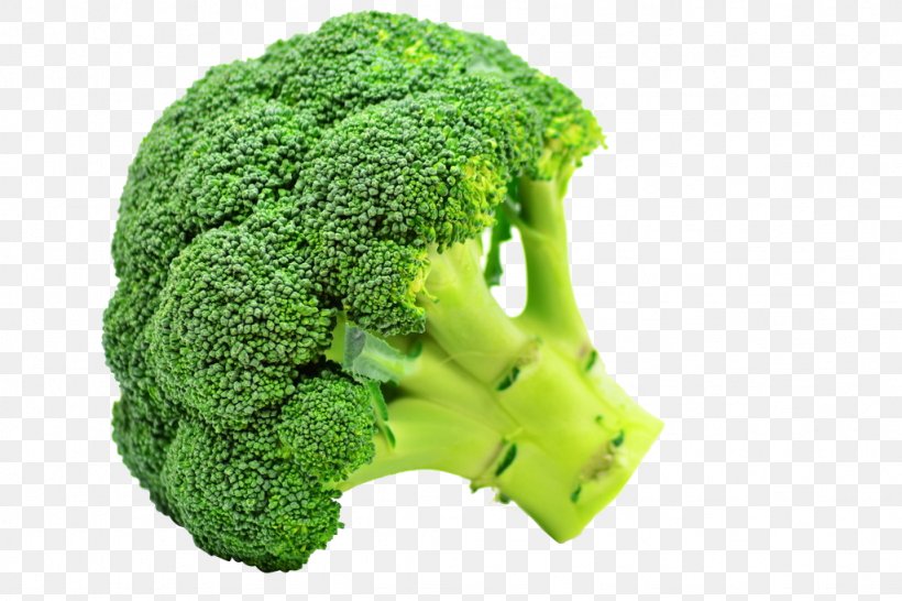 Broccoli Flavor Taste Vegetable Sulforaphane, PNG, 1024x683px, Broccoli, Broccoli Sprouts, Cooking, Cruciferous Vegetables, Eating Download Free