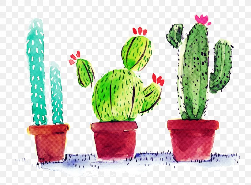 Cactus, PNG, 1600x1184px, Cactus, Caryophyllales, Flower, Flowerpot, Houseplant Download Free