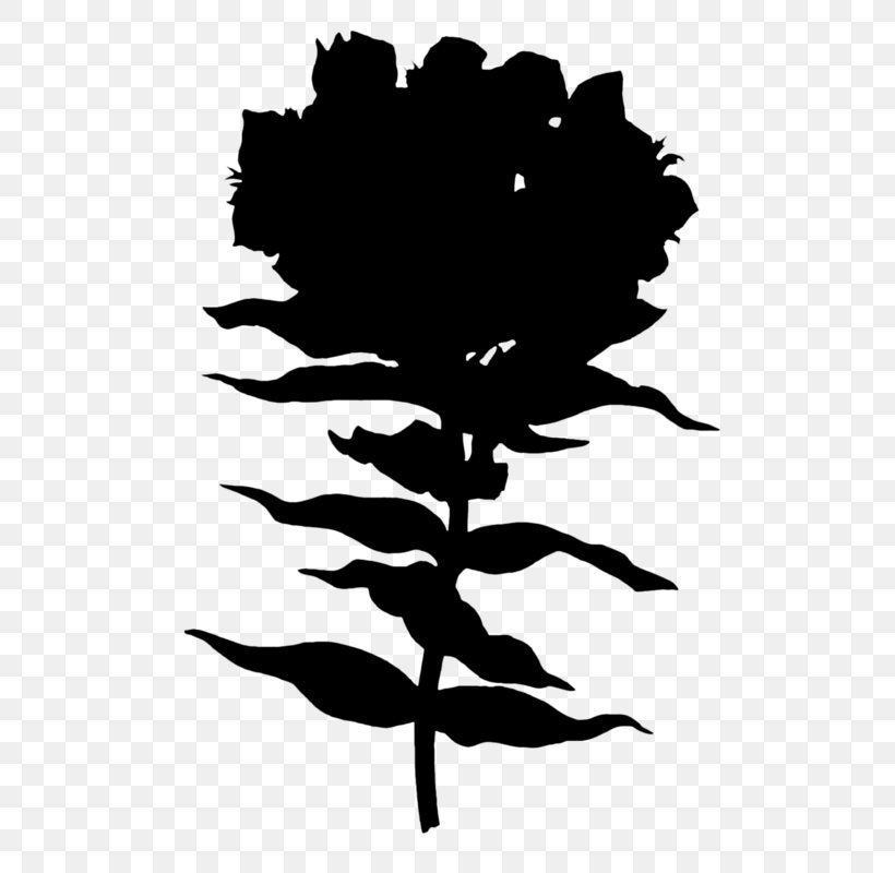 Clip Art Flowering Plant Silhouette Leaf, PNG, 529x800px, Flower, Blackandwhite, Botany, Branching, Flowering Plant Download Free