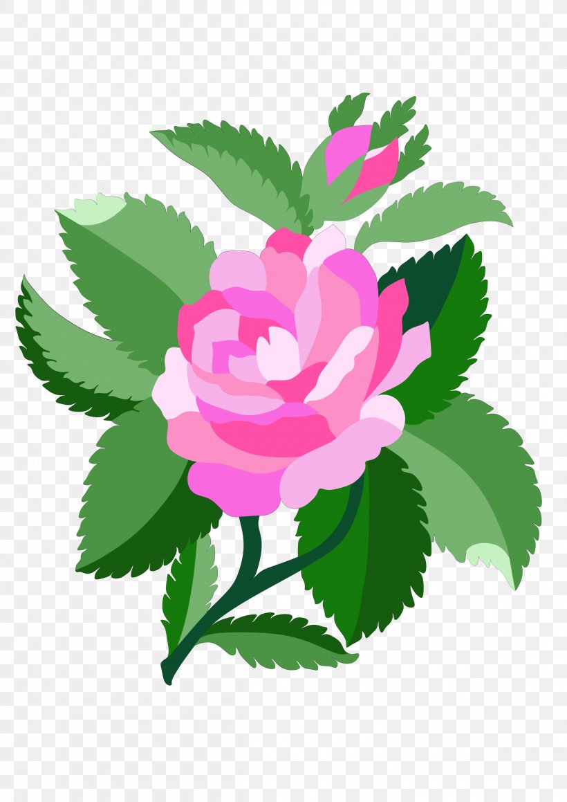 Damask Rose Black Rose Clip Art, PNG, 2400x3394px, Damask Rose, Black Rose, Color, Compass Rose, Flora Download Free