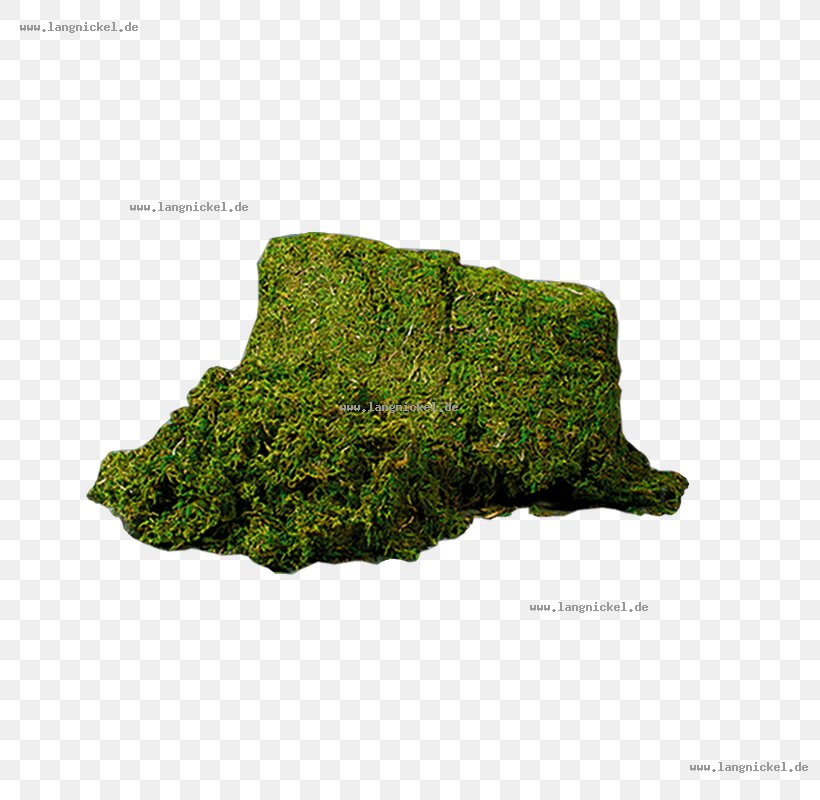 Outcrop, PNG, 800x800px, Outcrop, Grass, Rock Download Free