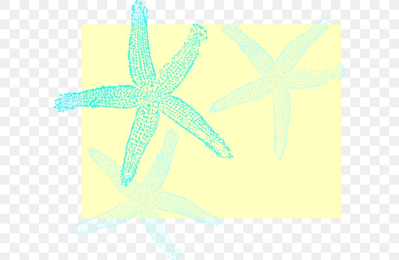 Starfish Desktop Wallpaper Echinoderm Pattern, PNG, 600x535px, Starfish, Aqua, Computer, Echinoderm, Fish Download Free