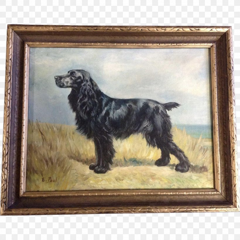 Boykin Spaniel English Cocker Spaniel Field Spaniel Sussex Spaniel Flat