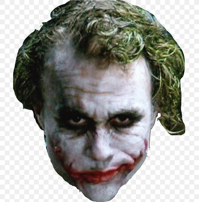 Joker Heath Ledger The Dark Knight Batman Harley Quinn, PNG, 711x832px ...