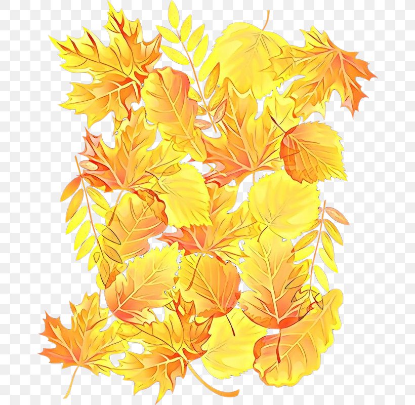 Orange, PNG, 674x800px, Cartoon, Amber, Flower, Flowering Plant, Leaf Download Free