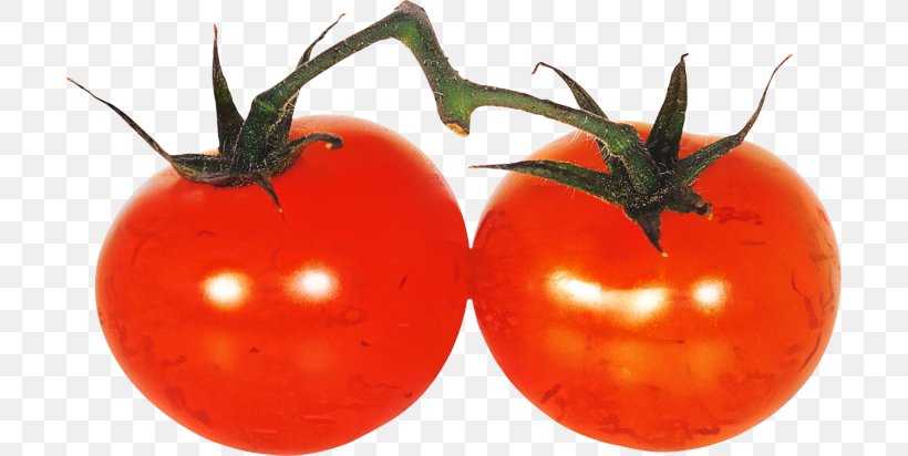 Tomato Cartoon, PNG, 700x412px, Plum Tomato, Bush Tomato, Cherry Tomatoes, Food, Fruit Download Free