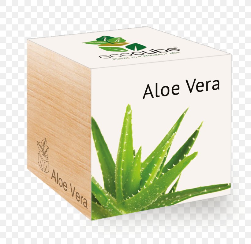 Aloe Vera Cube Plants GROW Cube Tree, PNG, 800x800px, Aloe Vera, Aloe, Aloes, Flower, Gel Download Free