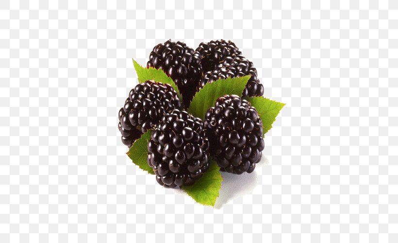 Blackberry Raspberry Fruit Rubus Nessensis, PNG, 500x500px, Blackberry, Berry, Boysenberry, Brambles, Common Beet Download Free