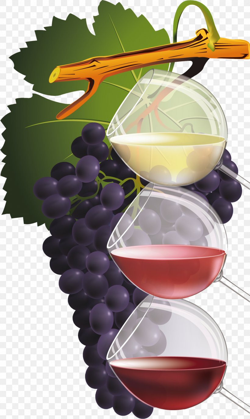 Red Wine Common Grape Vine, PNG, 1387x2322px, Wine, Bottle, Common Grape Vine, Drawing, Drink Download Free