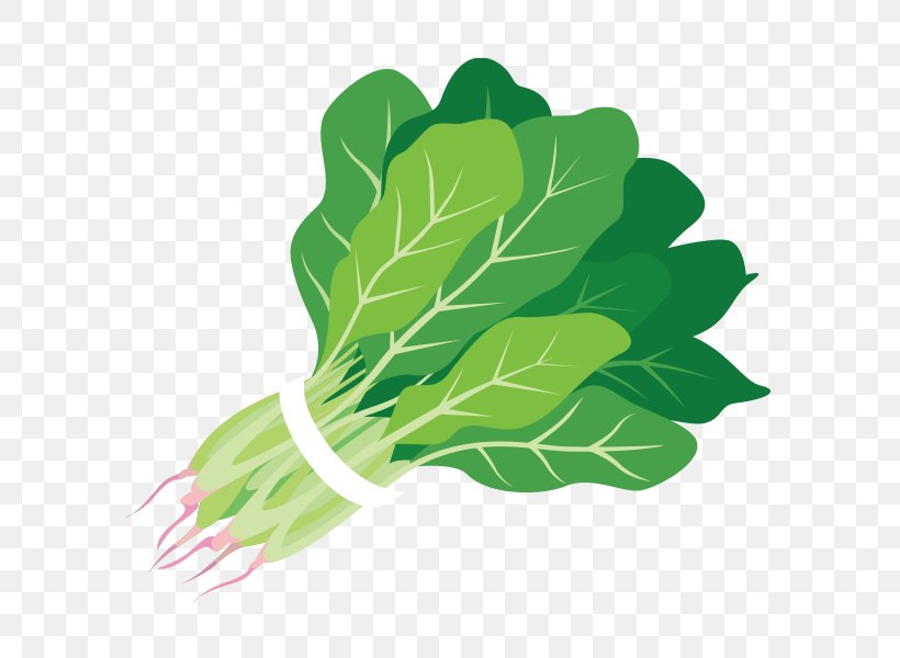 Spinach Food Salad Juice Clip Art, PNG, 600x600px, Spinach, Chard, Dietary Fiber, Dinner, Folate Download Free