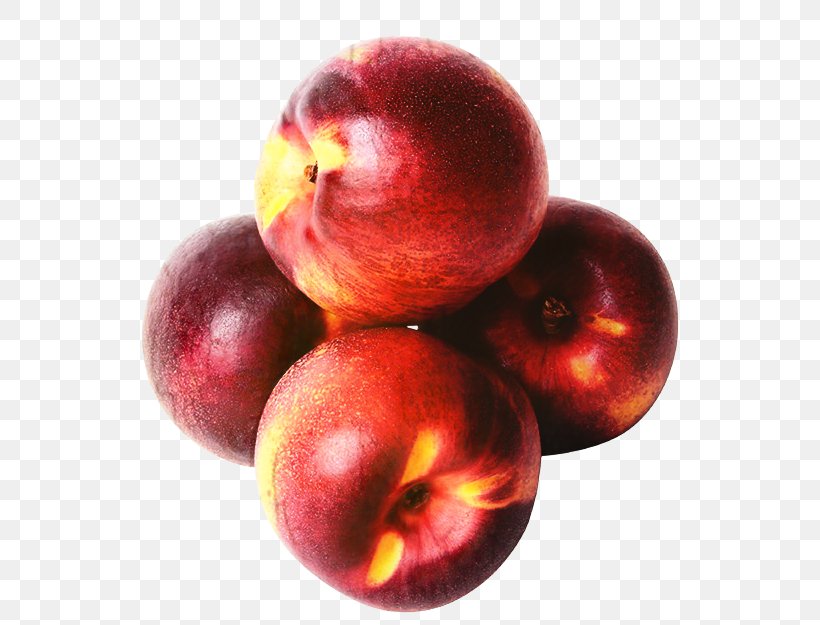 Tree Of Life, PNG, 553x625px, Food, Accessory Fruit, Berries, Blog, Camu Camu Download Free