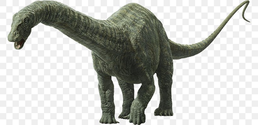 Apatosaurus Universal Pictures Brachiosaurus Dinosaur Jurassic Park, PNG, 772x398px, Apatosaurus, Animal Figure, Brachiosaurus, Dinosaur, Extinction Download Free