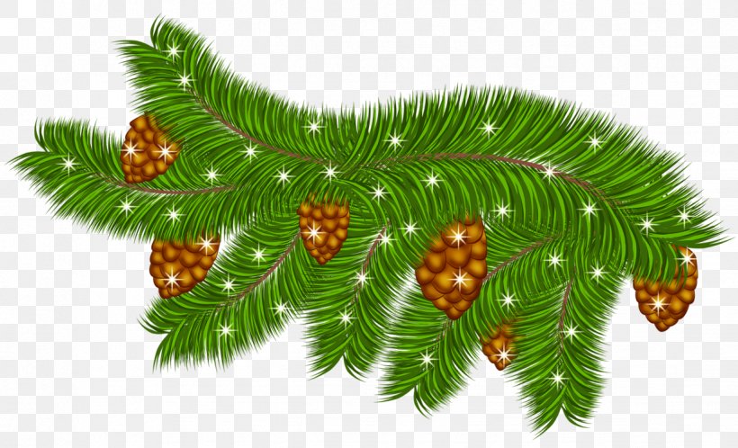 Pine Conifer Cone Christmas Branch Clip Art, PNG, 1226x746px, Pine, Branch, Christmas, Christmas Decoration, Christmas Ornament Download Free