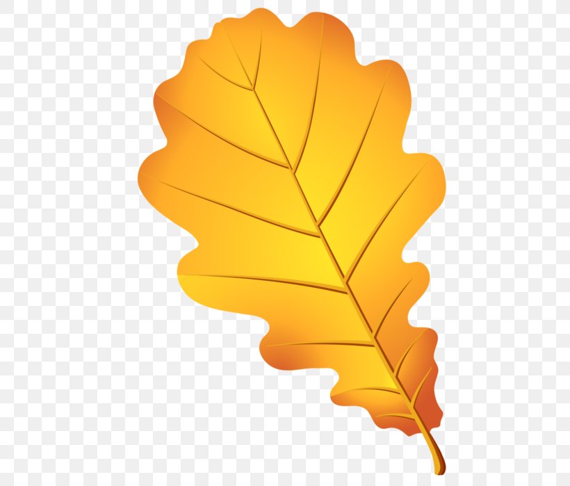 Clip Art Leaf Image Drawing, PNG, 482x699px, Leaf, Animation, Autumn, Cartoon, Deciduous Download Free