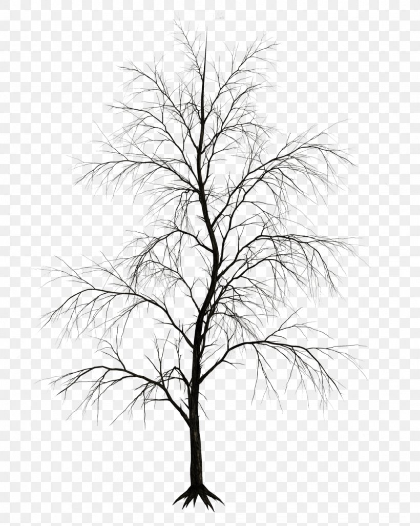 Tree Drawing Branch Clip Art, PNG, 1024x1282px, Tree, Alpha Compositing, Art, Black And White, Branch Download Free
