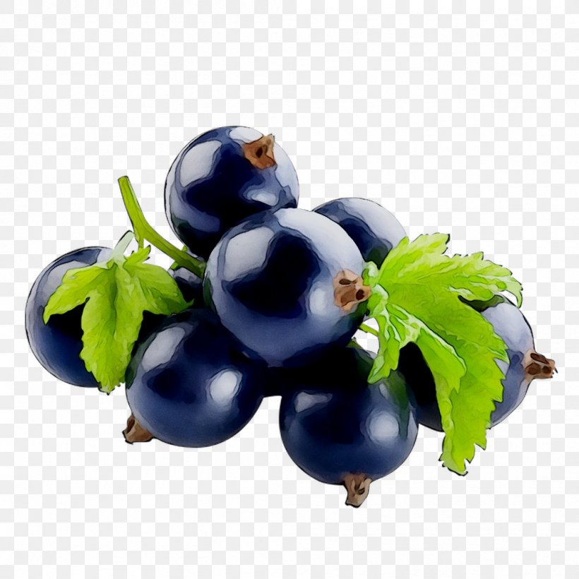 Blackcurrant Bilberry Blueberry Food STXEA NR EUR, PNG, 1053x1053px, Blackcurrant, Berry, Bilberry, Blue, Blueberry Download Free