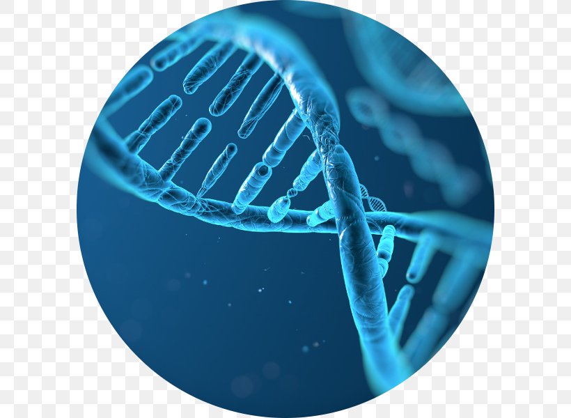 DNA Profiling Molecular Biology Genetics, PNG, 600x600px, Dna, Biochemistry, Biology, Dna Profiling, Electric Blue Download Free