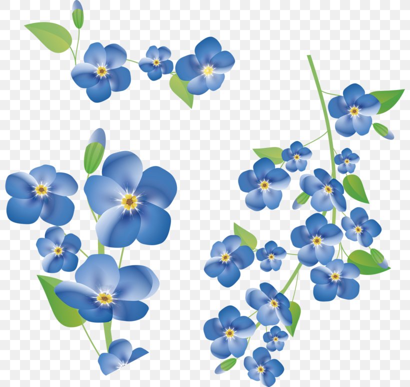 Flower Clip Art, PNG, 800x774px, Flower, Blue, Branch, Digital Image, Display Resolution Download Free
