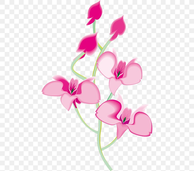Orchids Animation Clip Art, PNG, 469x724px, Orchids, Animation, Branch, Drawing, Flora Download Free