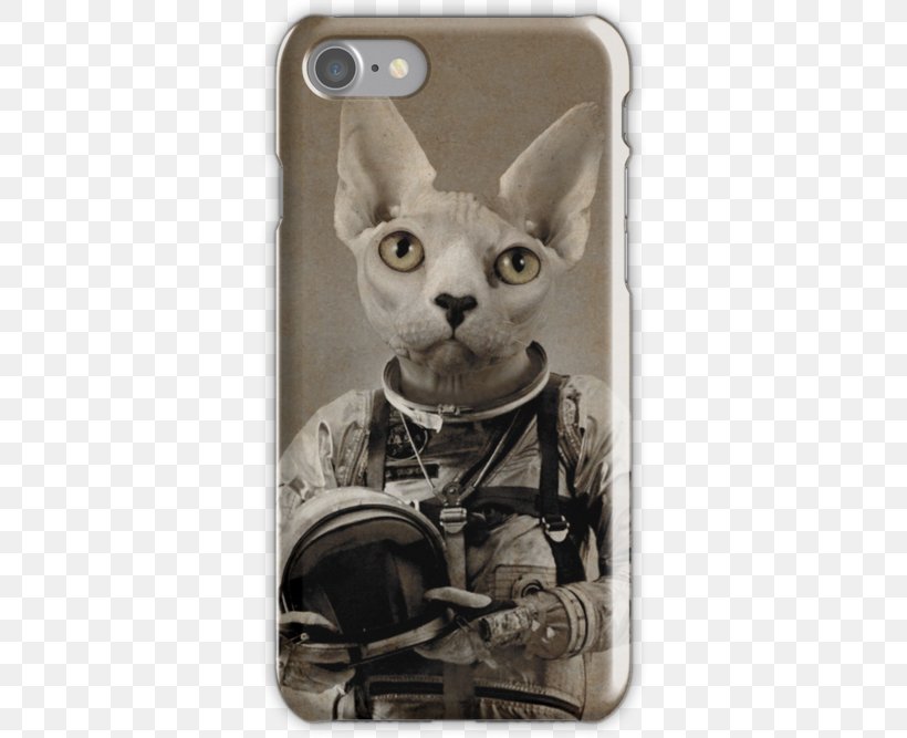 Whiskers Devon Rex Kitten Tiger Art, PNG, 500x667px, Whiskers, Animal, Art, Astronaut, Cat Download Free