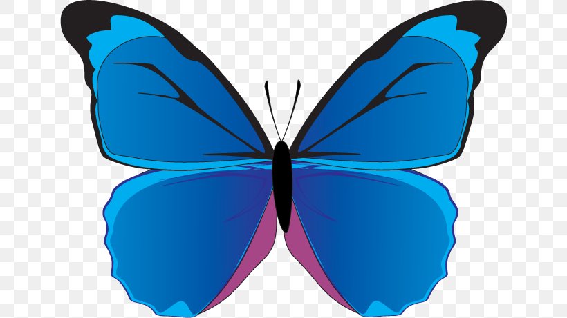 Butterfly Blue Morpho Clip Art, PNG, 646x461px, Butterfly, Arthropod, Blue, Blue Morpho, Brush Footed Butterfly Download Free