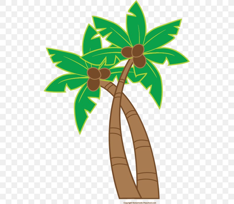 Cuisine Of Hawaii Luau Clip Art, PNG, 513x716px, Hawaii, Branch, Cuisine Of Hawaii, Flower, Flowering Plant Download Free