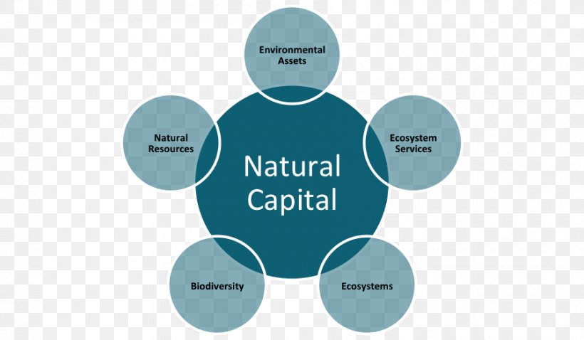 Natural Capital Mattress Nature K. D. Supply Chain Solutions Private Limited Organization, PNG, 900x525px, Natural Capital, Biodiversity, Brand, Business, Communication Download Free