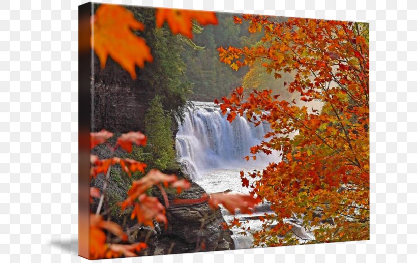 Painting Letchworth State Park Maple Leaf Acrylic Paint Nature, PNG, 650x517px, Painting, Acrylic Paint, Acrylic Resin, Art, Autumn Download Free