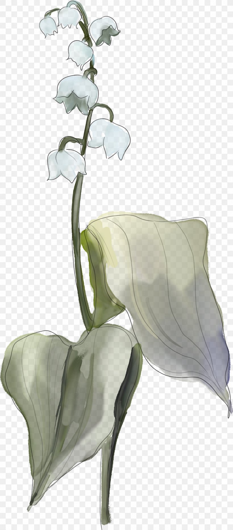 Flower Floral Design Arum Lilies, PNG, 1099x2494px, Flower, Alismatales, Arum, Arum Family, Arum Lilies Download Free