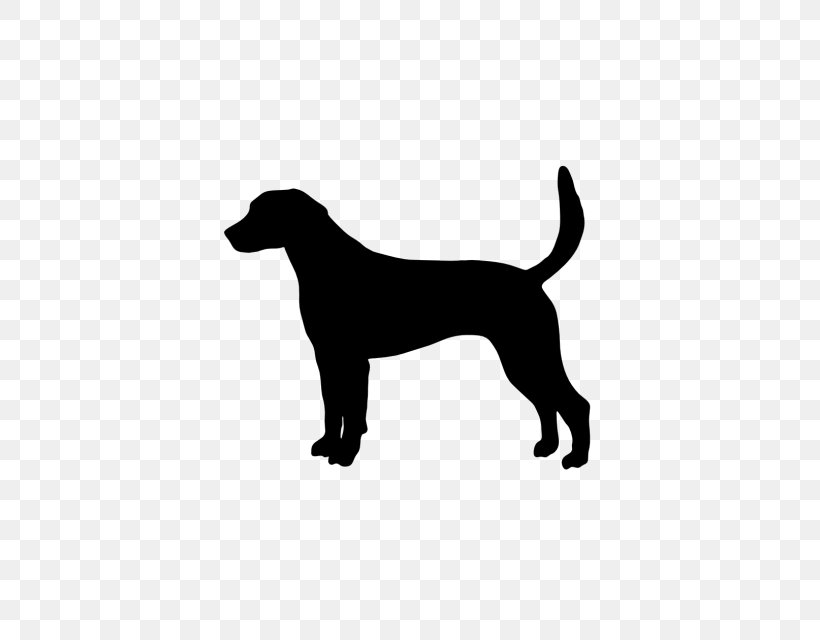 Labrador Retriever Puppy Rottweiler Dog Breed French Bulldog, PNG, 640x640px, Labrador Retriever, Bark, Black, Black And White, Boston Terrier Download Free