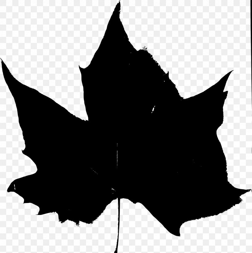 Maple Leaf Autumn Leaf Color Clip Art, PNG, 2388x2400px, Leaf, Autumn Leaf Color, Black, Black And White, Color Download Free