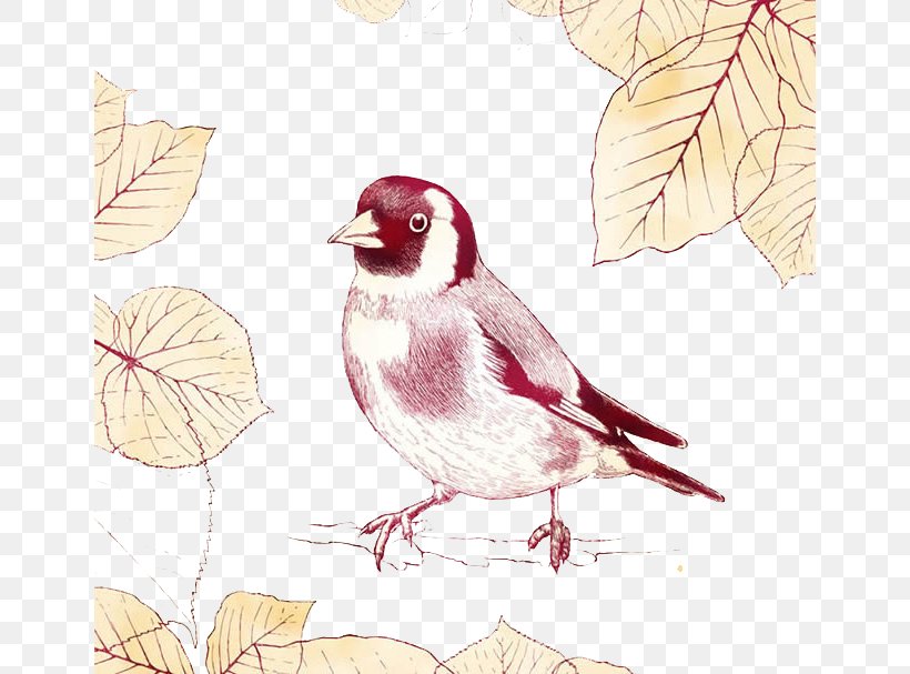 Sparrow Bird, PNG, 650x607px, Sparrow, Art, Beak, Bird, Branch Download Free