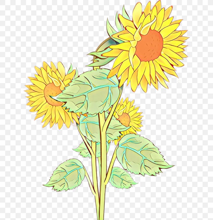 Sunflower, PNG, 640x847px, Cartoon, Cut Flowers, Dandelion, Flower, Flowering Plant Download Free