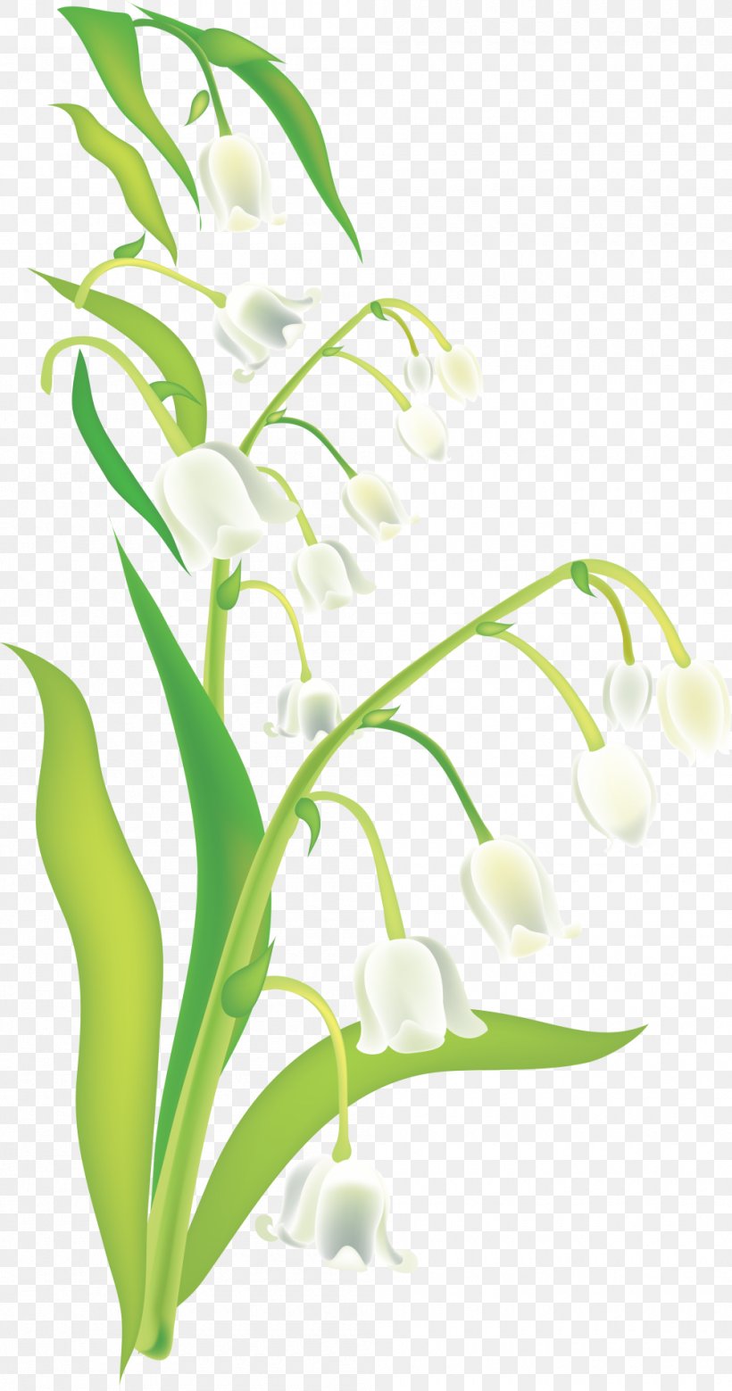 Bell, PNG, 1000x1902px, Lily Of The Valley, Aquarium Decor, Branch, Digital Image, Flora Download Free