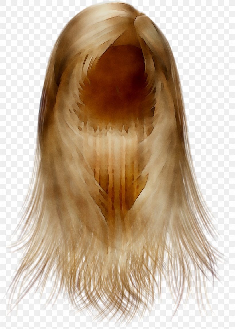 Blond Wig Fur Long Hair, PNG, 879x1229px, Blond, Artificial Hair Integrations, Brown, Brown Hair, Caramel Color Download Free
